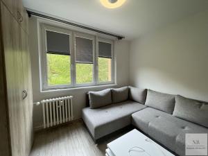 Pronájem bytu 1+1, Karlovy Vary, Východní, 35 m2