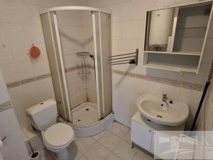 Pronájem bytu 2+1, Příbram, Dlouhá, 63 m2