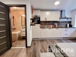 Pronájem bytu 1+kk, Rokytnice nad Jizerou, 22 m2