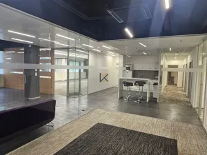 Pronájem komerční nemovitosti, Praha, Radlická, 789 m2