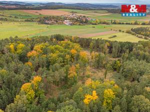 Prodej lesa, Ježovy - Trnčí, 39171 m2