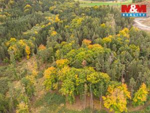 Prodej lesa, Ježovy - Trnčí, 39171 m2