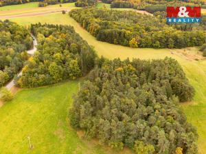 Prodej lesa, Ježovy - Trnčí, 39171 m2