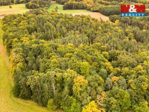 Prodej lesa, Ježovy - Trnčí, 39171 m2