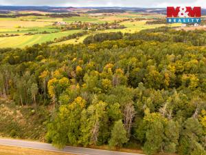 Prodej lesa, Ježovy - Trnčí, 39171 m2
