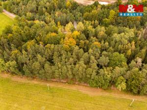 Prodej lesa, Ježovy - Trnčí, 39171 m2