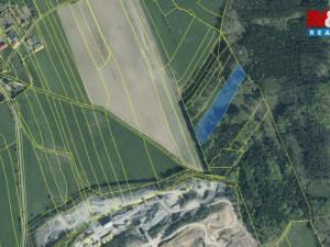 Prodej lesa, Ježovy - Trnčí, 39171 m2