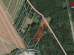 Prodej lesa, Ježovy - Trnčí, 39171 m2