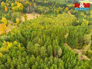 Prodej lesa, Černíkov, 12446 m2