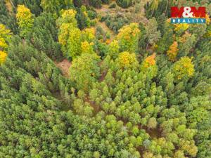 Prodej lesa, Černíkov, 12446 m2