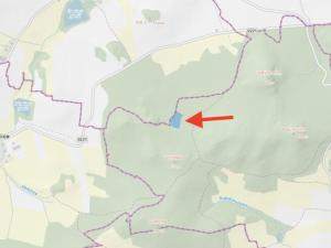 Prodej lesa, Černíkov, 12446 m2