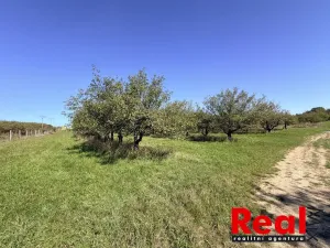 Prodej pozemku pro bydlení, Veverské Knínice, 1043 m2