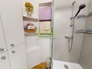 Prodej bytu 2+1, Teplice, Svojsíkova, 53 m2