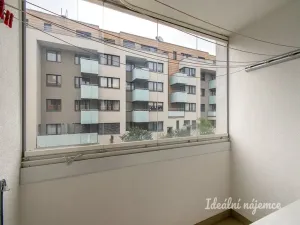 Pronájem bytu 3+kk, Praha - Žižkov, V zahrádkách, 74 m2