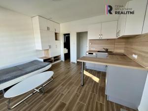 Pronájem bytu 1+kk, Žatec, Lounská, 22 m2