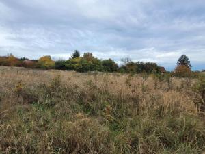 Prodej pozemku pro bydlení, Mníšek pod Brdy, Stříbrná Lhota, 8666 m2