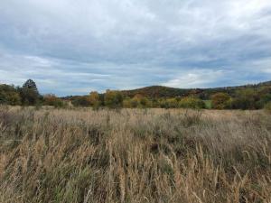 Prodej pozemku pro bydlení, Mníšek pod Brdy, Stříbrná Lhota, 8666 m2