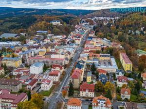 Prodej bytu 2+kk, Mariánské Lázně, Hlavní třída, 47 m2