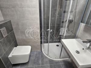 Pronájem bytu 1+kk, Praha - Třebonice, Do zahrádek II, 25 m2