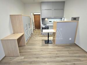 Pronájem bytu 1+kk, Praha - Třebonice, Do zahrádek II, 25 m2