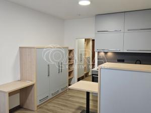 Pronájem bytu 1+kk, Praha - Třebonice, Do zahrádek II, 25 m2