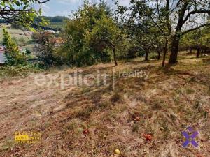 Prodej pozemku pro bydlení, Fryšták - Vítová, 1075 m2