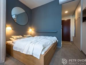 Prodej bytu 1+kk, Praha - Nové Město, Opletalova, 27 m2