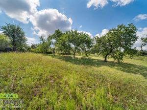 Prodej rodinného domu, Tučapy, 301 m2