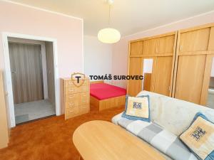 Pronájem bytu 1+1, Zlín, Česká, 33 m2