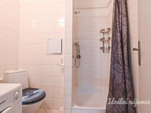 Pronájem bytu 1+kk, Brno - Líšeň, Jedovnická, 20 m2