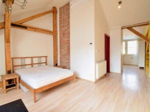 Pronájem bytu 1+kk, Brno - Brno-město, Veselá, 58 m2