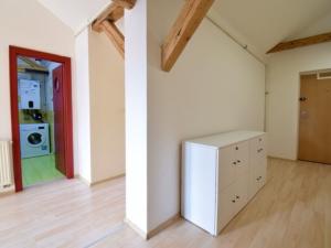 Pronájem bytu 1+kk, Brno - Brno-město, Veselá, 58 m2