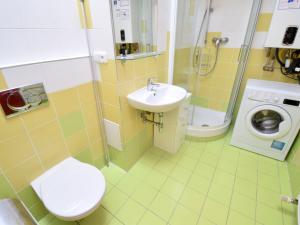 Pronájem bytu 1+kk, Brno - Brno-město, Veselá, 58 m2