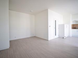 Pronájem bytu 1+kk, Brno, Sportovní, 37 m2