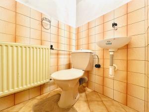 Pronájem rodinného domu, Vápenná, 392 m2