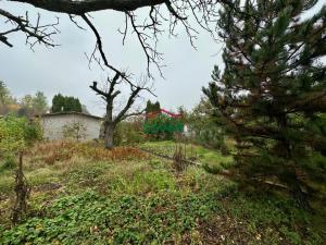 Prodej chaty, Most, U Lesíka, 17 m2