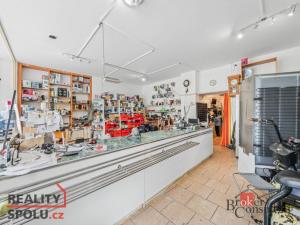 Prodej komerční nemovitosti, Plzeň - Severní Předměstí, Hodonínská, 190 m2