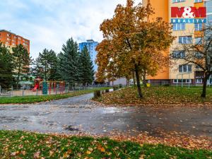 Prodej bytu 2+1, Tachov, Zárečná, 53 m2