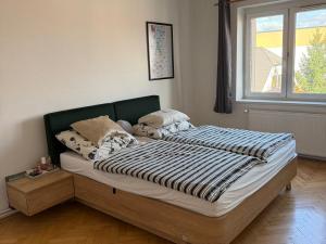 Pronájem bytu 2+kk, Hradec Králové - Pražské Předměstí, Antonína Dvořáka, 54 m2