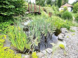 Prodej rodinného domu, Děpoltovice, 550 m2