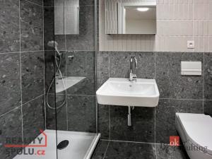 Pronájem bytu 1+kk, Brno - Zábrdovice, Bratislavská, 32 m2