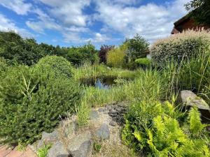 Prodej ubytování, Děpoltovice, 550 m2