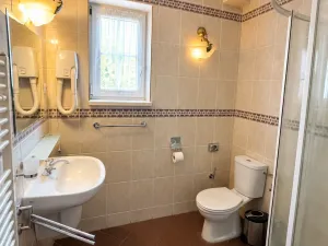 Prodej ubytování, Děpoltovice, 450 m2