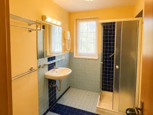 Prodej ubytování, Děpoltovice, 450 m2