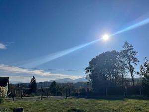 Prodej zahrady, Hrádek nad Nisou - Dolní Sedlo, Horská, 955 m2