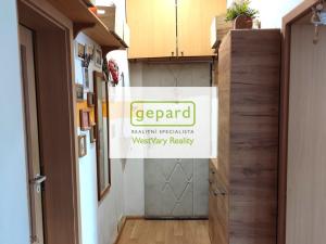 Pronájem bytu 2+1, Karlovy Vary, náměstí Dr. M. Horákové, 59 m2