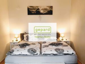 Pronájem bytu 2+1, Karlovy Vary, náměstí Dr. M. Horákové, 59 m2