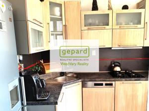 Pronájem bytu 2+1, Karlovy Vary, náměstí Dr. M. Horákové, 59 m2