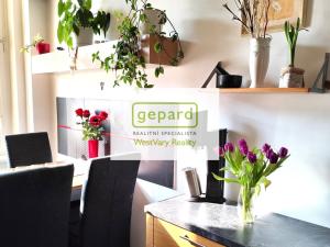 Pronájem bytu 2+1, Karlovy Vary, náměstí Dr. M. Horákové, 59 m2