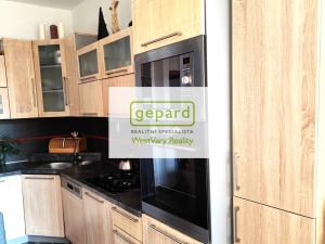 Pronájem bytu 2+1, Karlovy Vary, náměstí Dr. M. Horákové, 59 m2